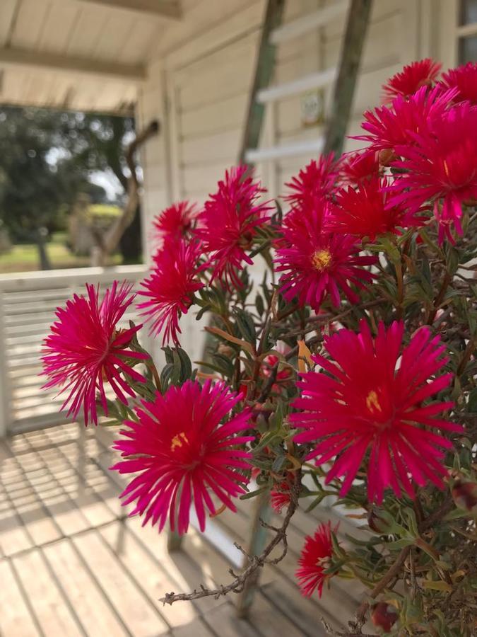 Tenuta I Quattro Venti Otranto Zewnętrze zdjęcie